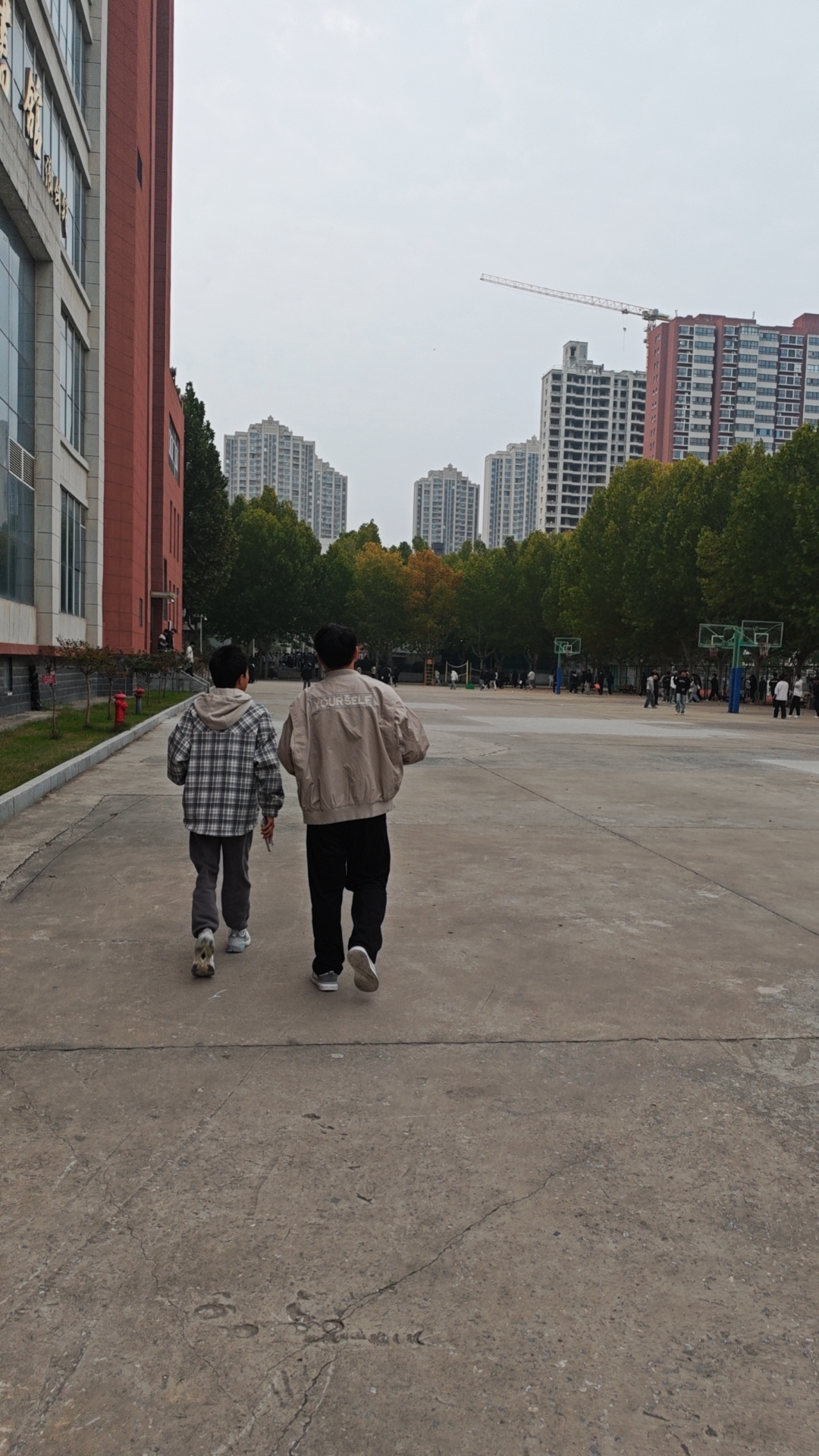 大专课堂外的恋爱观：把“喜欢”拆解成自我成长的三道练习题